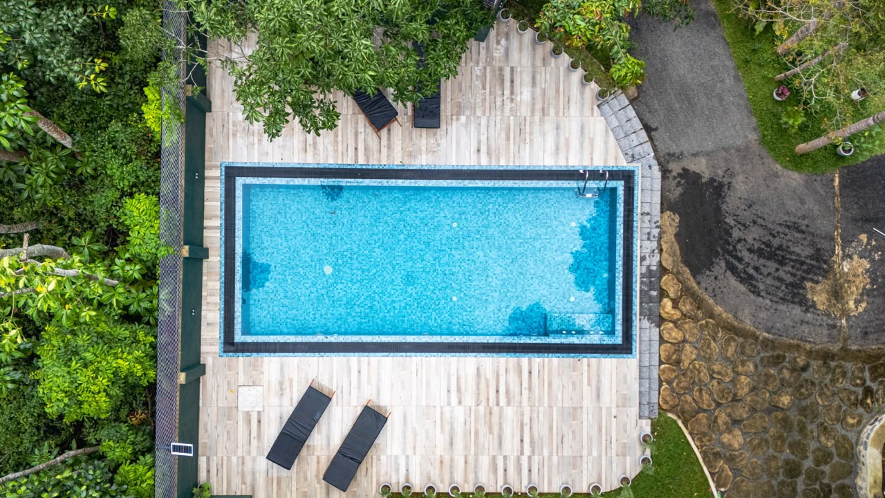 Pool surrounded by trees